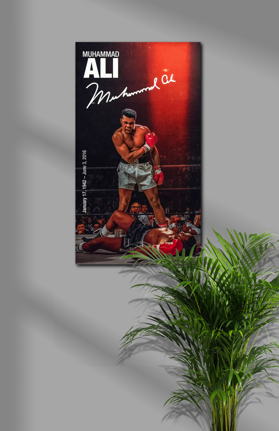 Muhammad Ali Match