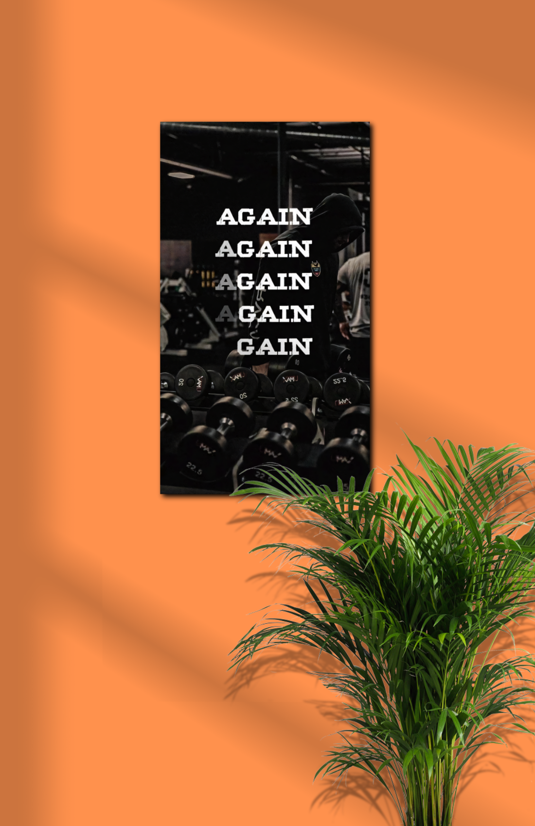 Gym Gain
