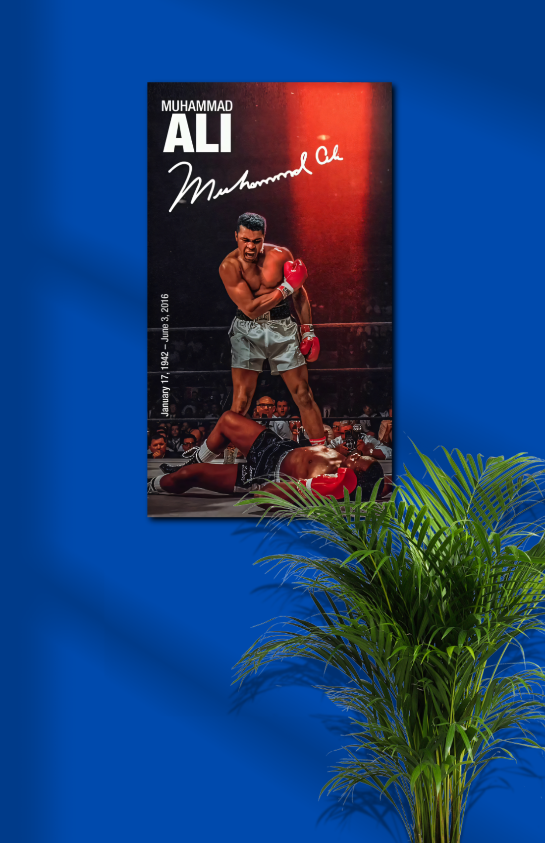 Muhammad Ali Match