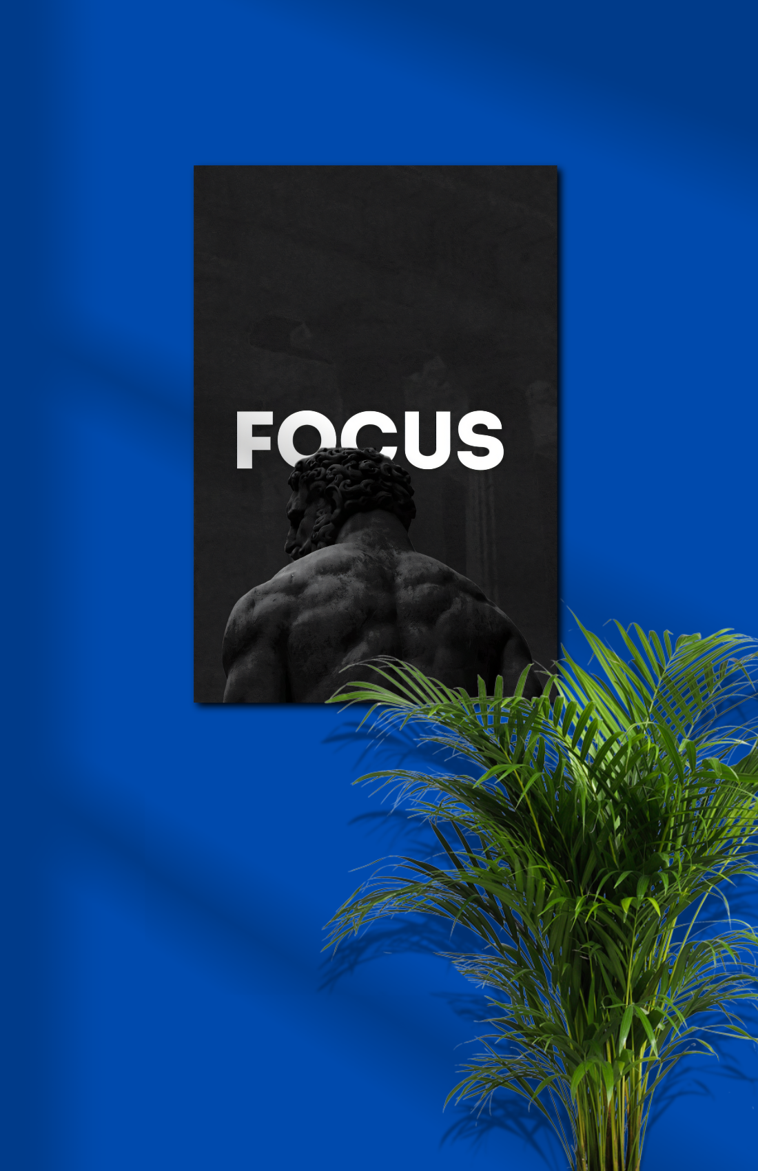Focus
